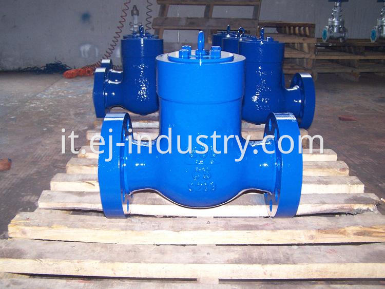 Pressure Seal Check Valve